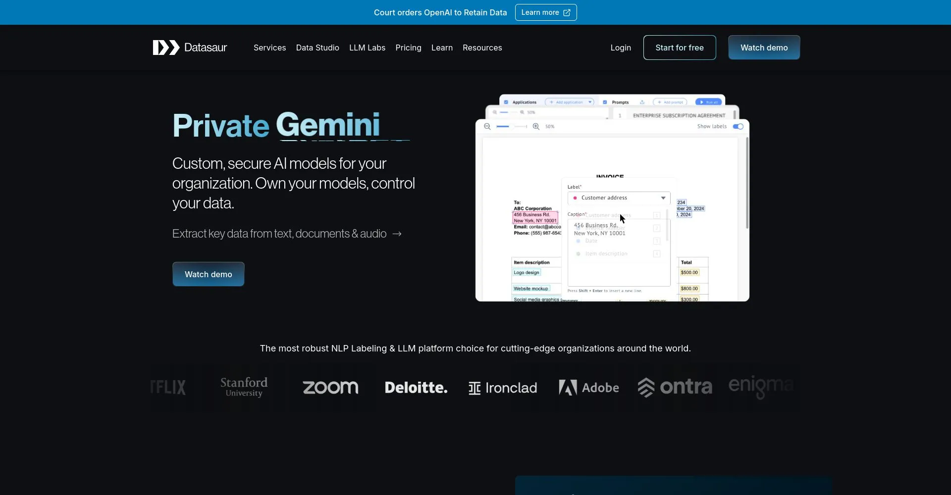 Captura de pantalla del sitio web de Datasaur mostrando Private Gemini