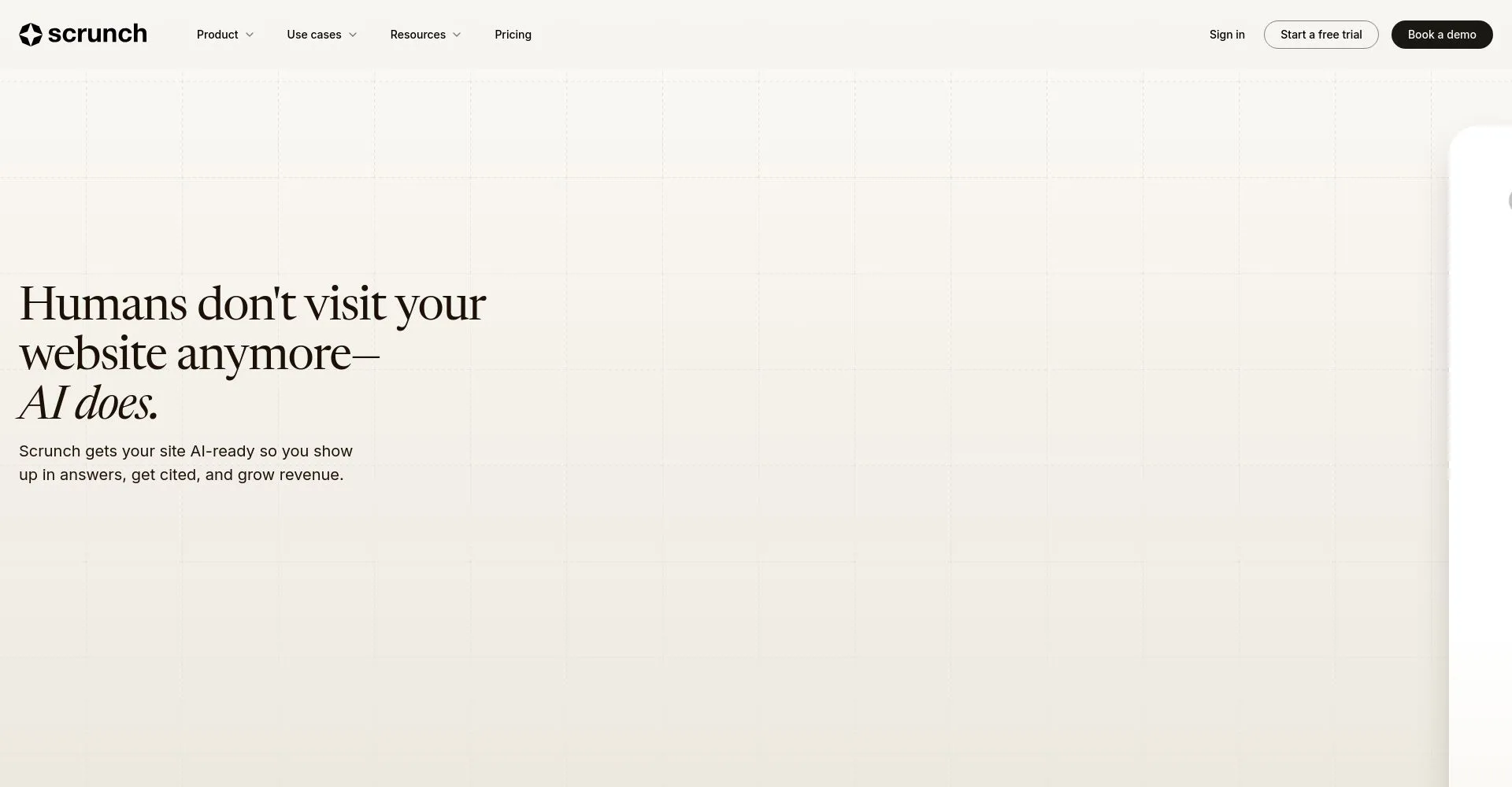 Pantalla de inicio del sitio web de Scrunch